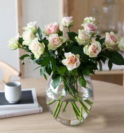 Rosa roser i gavepose med bobler  Rosa roser i gavepose med bobler